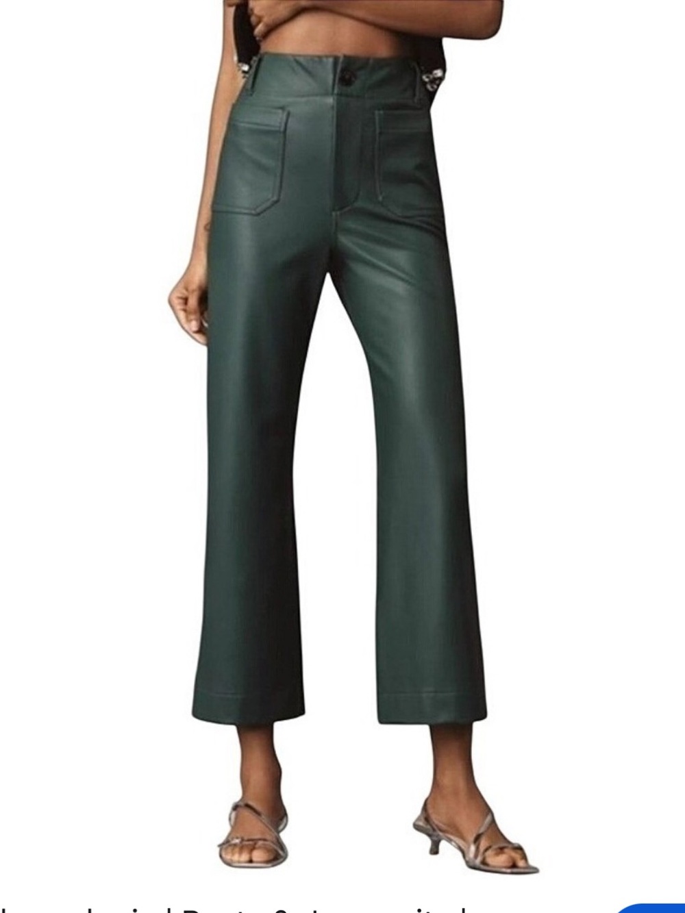Anthropologie Maeve The Collette Faux Leather Wide Leg Pants Forest Green 29